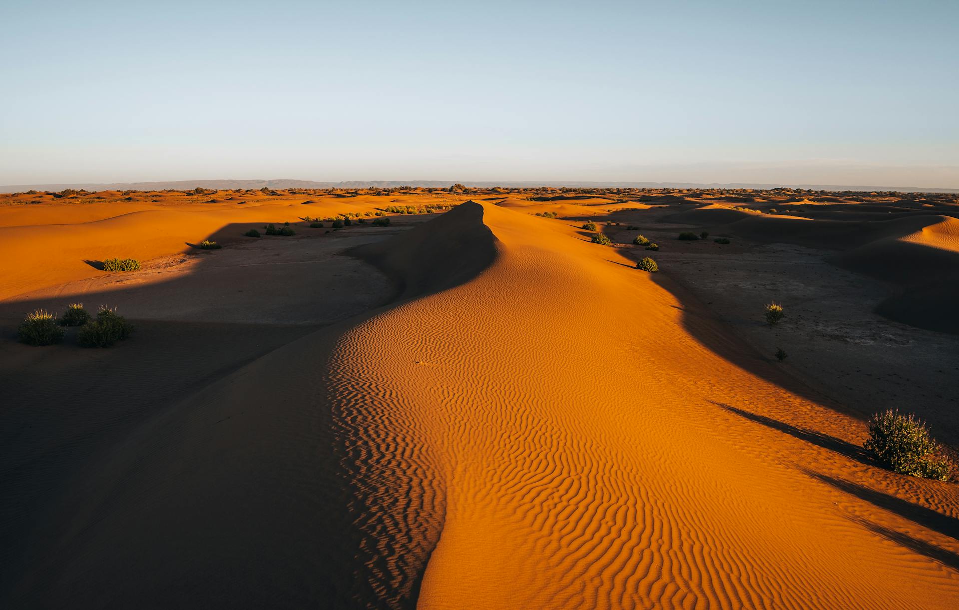 Desert Serenity: Sands of the Sahara