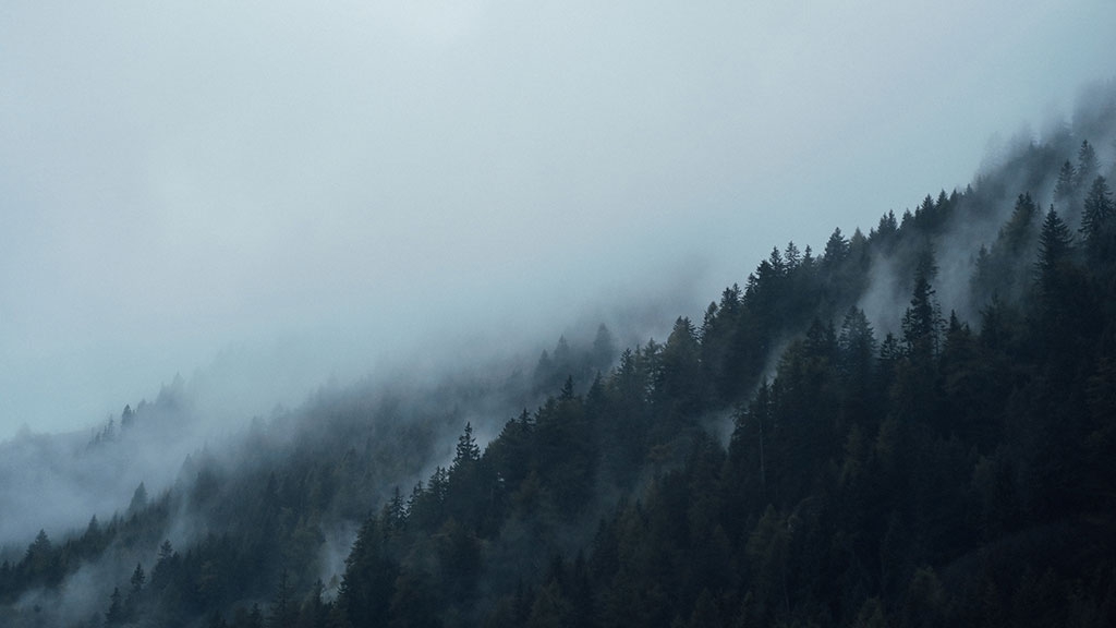 Hike Into the Mist - Vantage